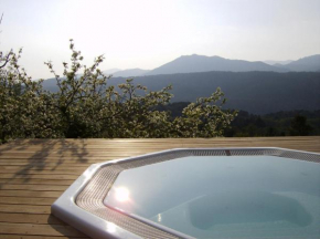 Гостиница Hotel Le Tourisme  Цонца